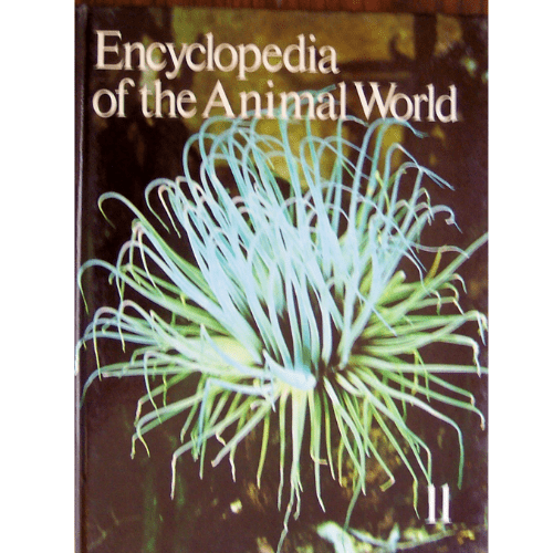 Encyclopedia of the Animal World, Vol. 11: Hoopoe-Kitiwake