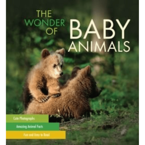 The Wonder of Baby Animals
