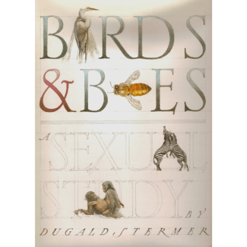 Birds & Bees : A Sexual Study