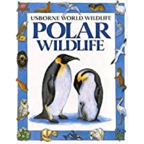 Polar Wildlife (Usborne world wildlife)