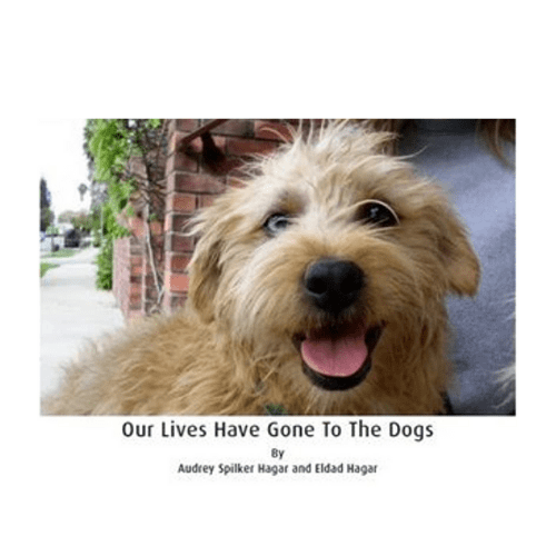 Our Lives Have Gone to the Dogs