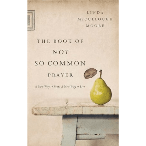 The Book of Not So Common Prayer : A New Way to Pray, a New Way to Live