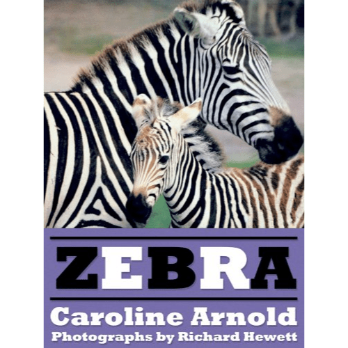 Zebra by Caroline Arnold