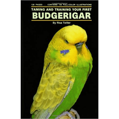 Taming and Training Your First Budgerigar