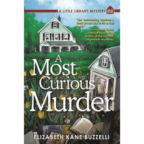 A Little Library Mystery #1: A Most Curious Murder