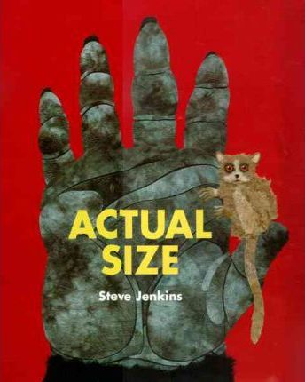 Actual Size By Steve Jenkins