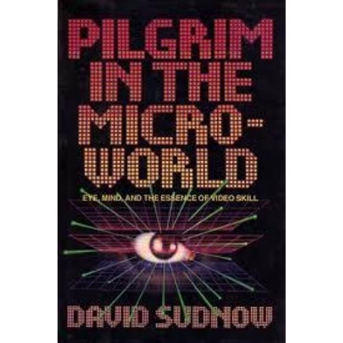Pilgrim in the Microworld