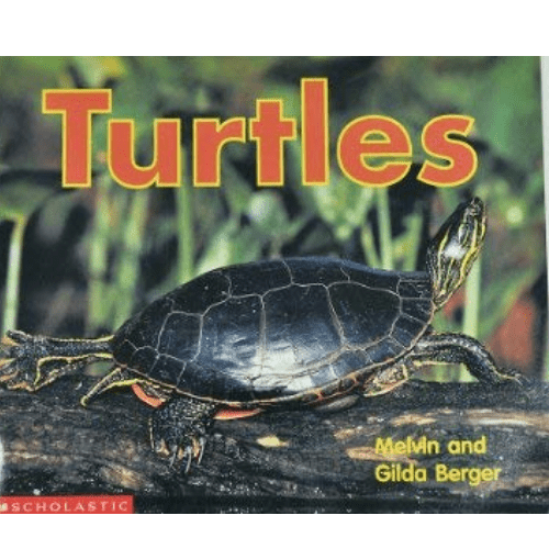 Turtles: Now I Know