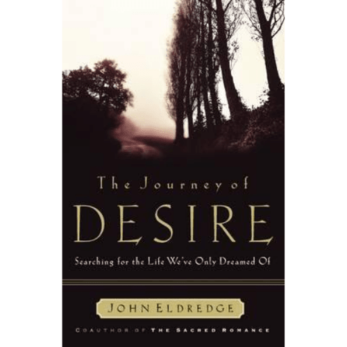 The Journey of Desire : Searching for the Life We Always Dreamed of