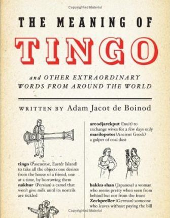 The Meaning of Tingo : And Other Extraordinary Words from Around the World