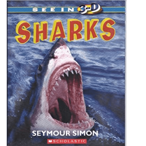See in 3-D: Sharks