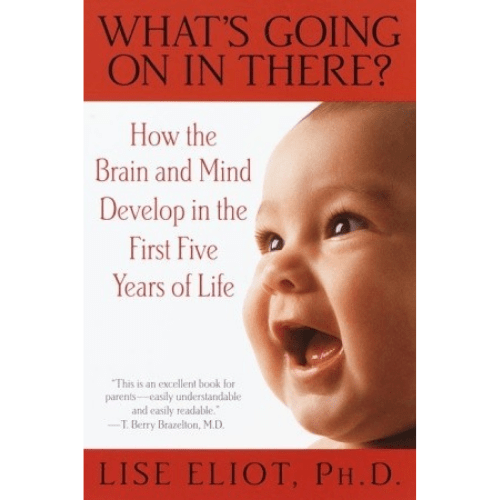 What's Going on in There : How the Brain and Mind Develop in the First Five Years of Life