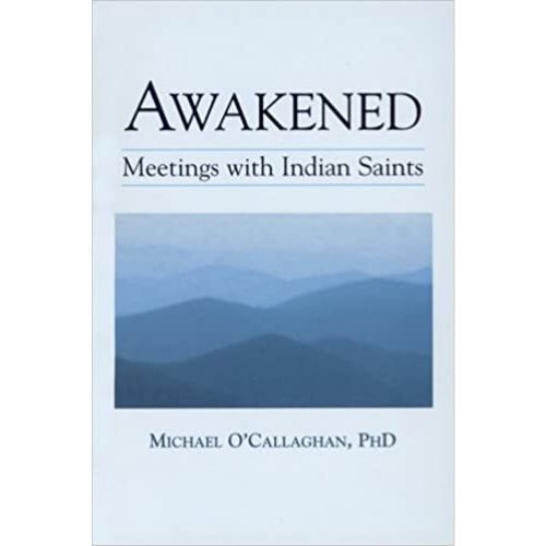 Awakened : Meetings with Indian Saints