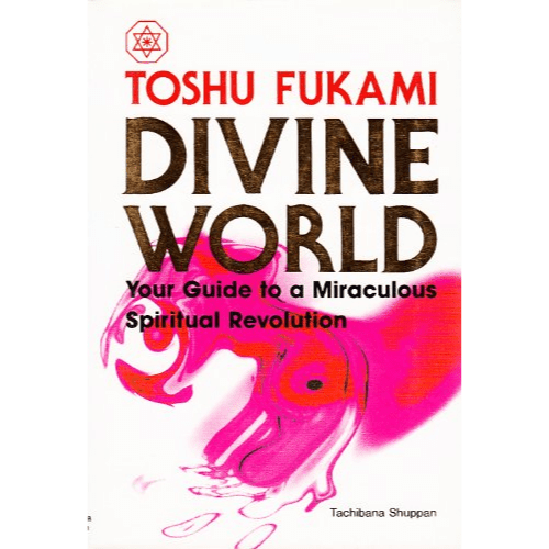 Divine World : Your Guide to a Miraculous Spiritual Revolution