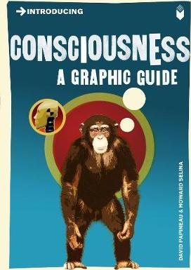 Introducing Consciousness : A Graphic Guide