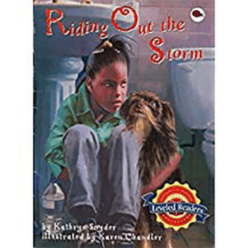 Riding Out The Storm By Kathryn Snyder