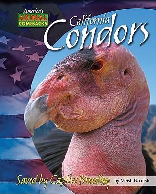 California Condors : Saved by Captive Breeding