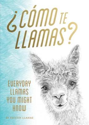 Como te Llamas? : Everyday Llamas You Might Know