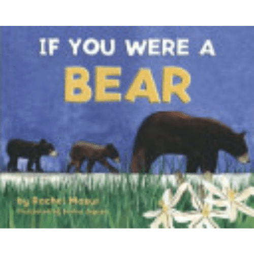 If You Were a Bear by Rachel Mazur