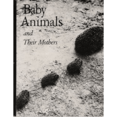 Baby Animals and Their Mothers (Terra Magica Book)