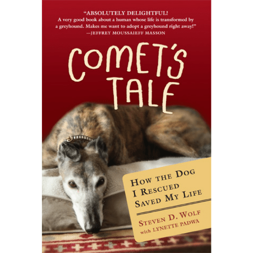 Comet's Tale : How the Dog I Rescued Saved My Life