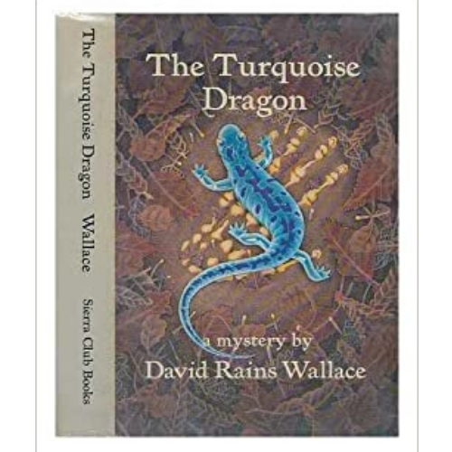 The Turquoise Dragon
