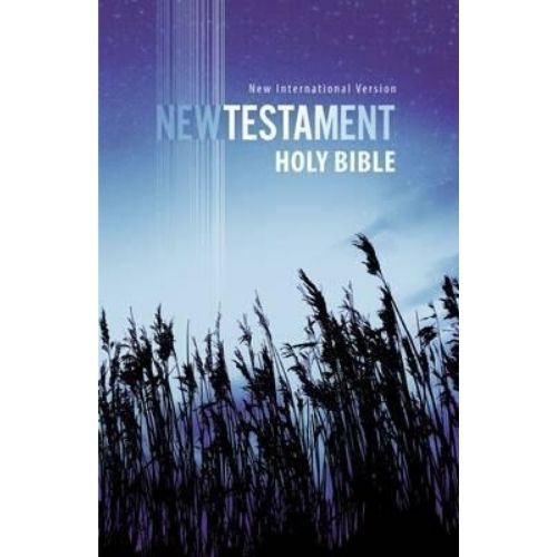 NIV, Outreach New Testament