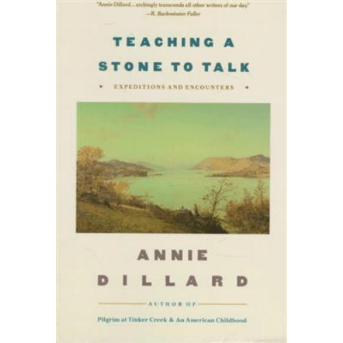 Teaching a Stone to Talk : Expeditions and Encounters
