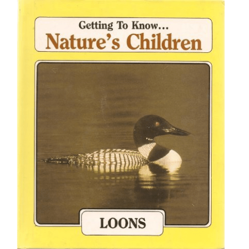 Getting to Know...Nature's Children: Loons/ Black Bears
