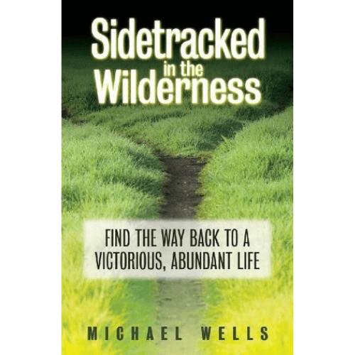 Sidetracked in the Wilderness