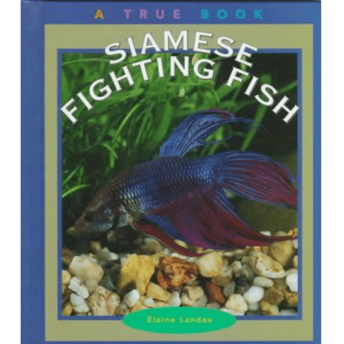 Siamese Fighting Fish