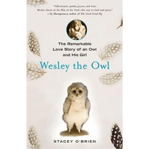 Wesley the Owl : The Remarkable Love Story of an Owl and His Girl