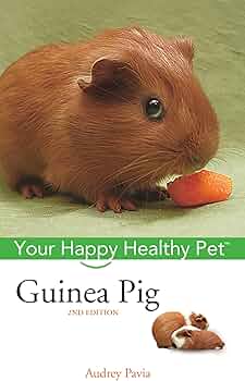 Guinea Pig: Your Happy Healthy Pet