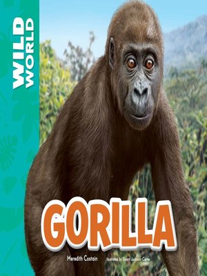 Gorillas (Little green readers) book by Meredith Costain