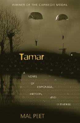 Tamar : A Novel of Espionage, Passion, and Betrayal