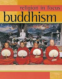 Religion in Focus: Buddhism book by Geoff Teece