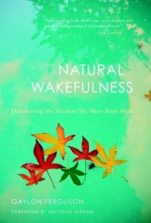 Natural Wakefulness: Discovering the Wisdom We Were Born With book by Gaylon Ferguson