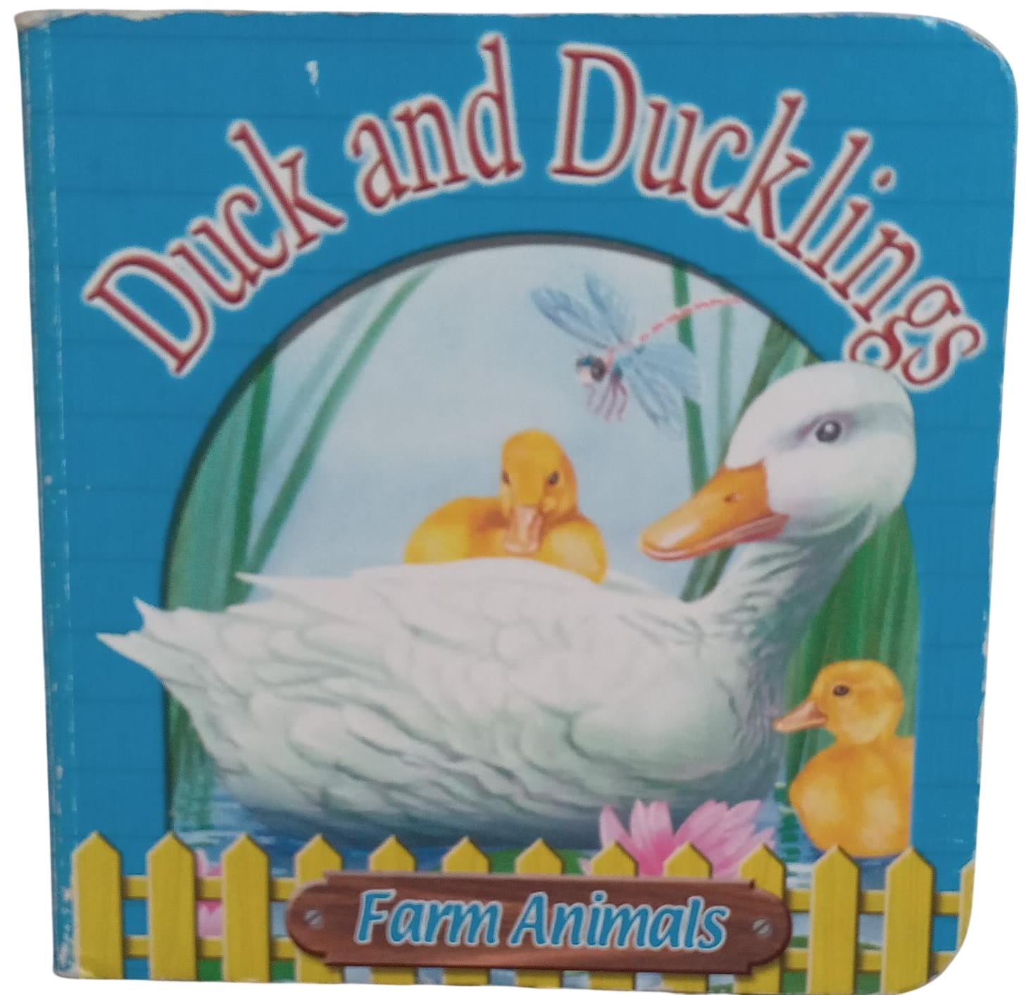 Farm Animals : Duck And Ducklings