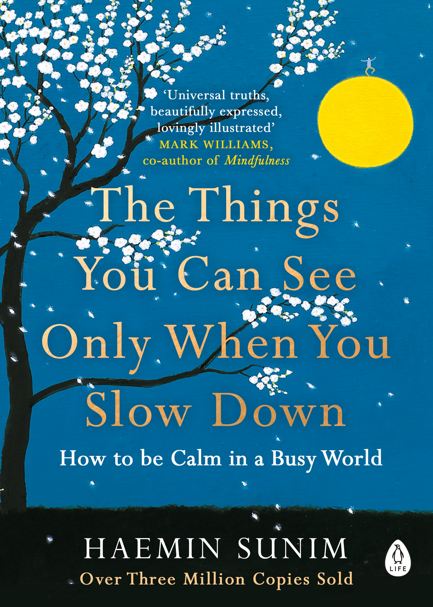 The Things You Can See Only When You Slow Down : How to be Calm in a Busy World book by Haemin Sunim