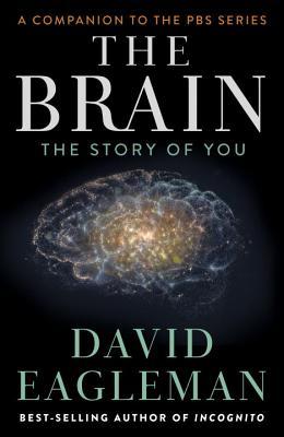 The Brain: The Story of You book by David Eagleman
