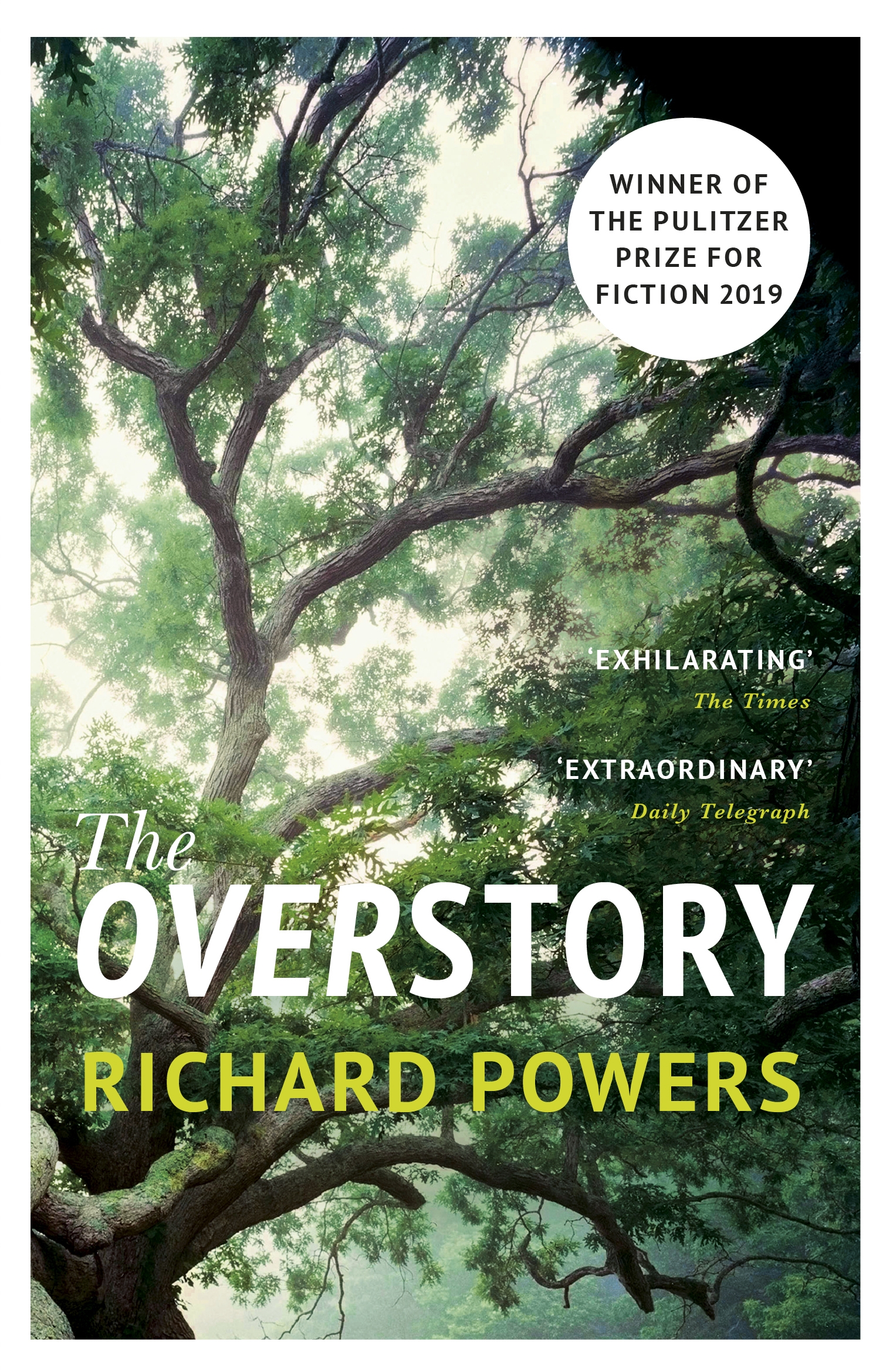 The Overstory book by Richard Powers