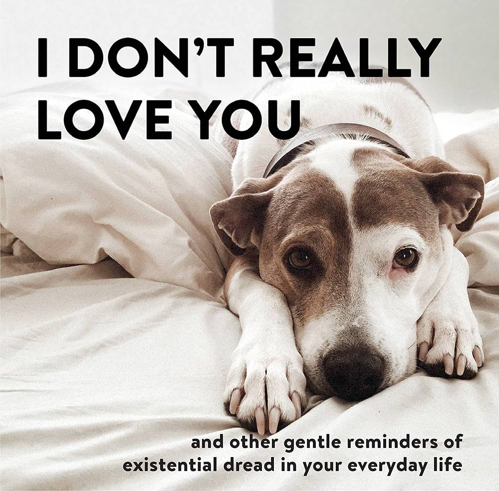 I Don't Really Love You: And Other Gentle Reminders of Existential Dread in Your Everyday Life book by Alex Beyer