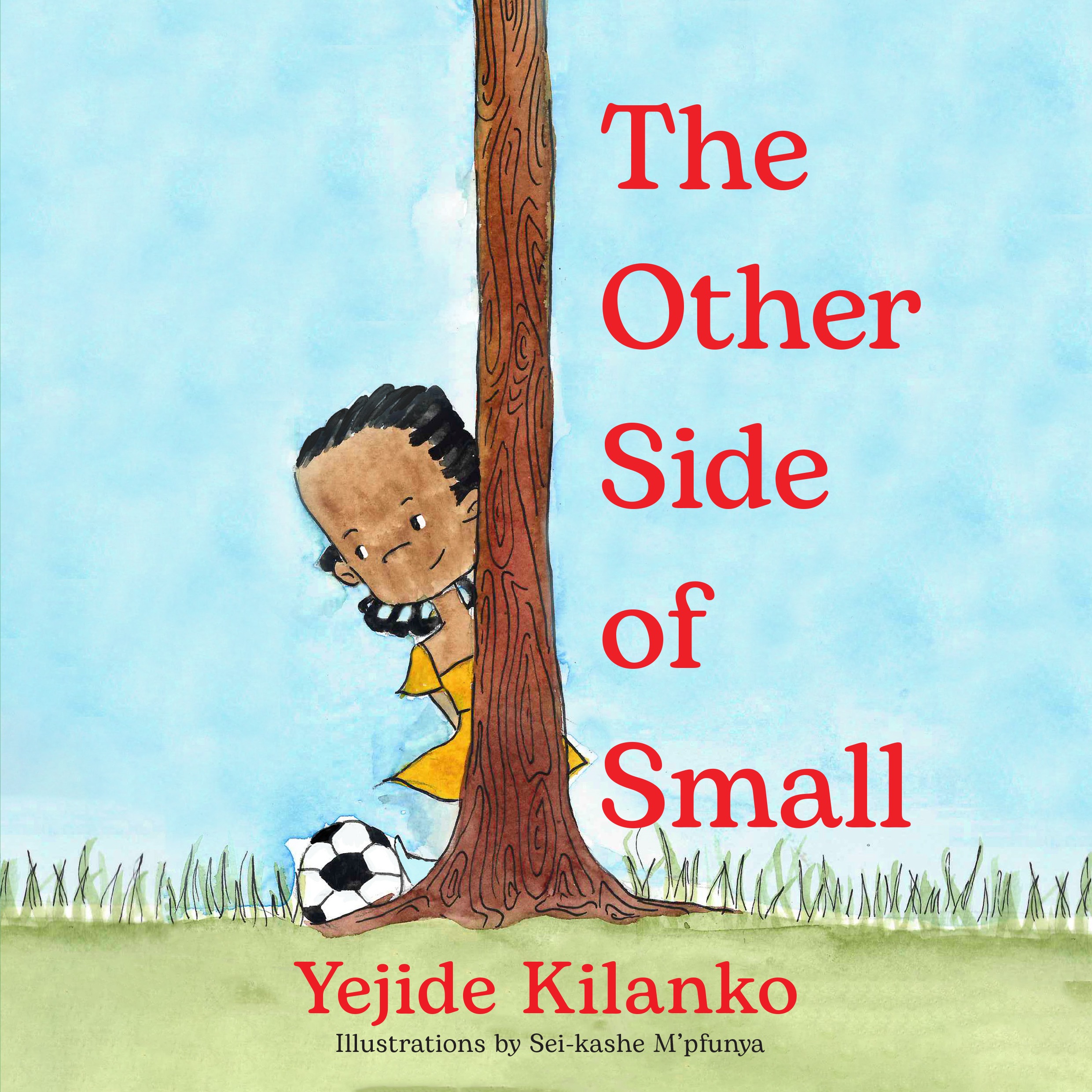 The Other Side of Small by Yejide book by Yejide Kilanko