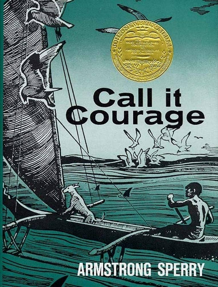 Call It Courage book by Armstrong Sperry