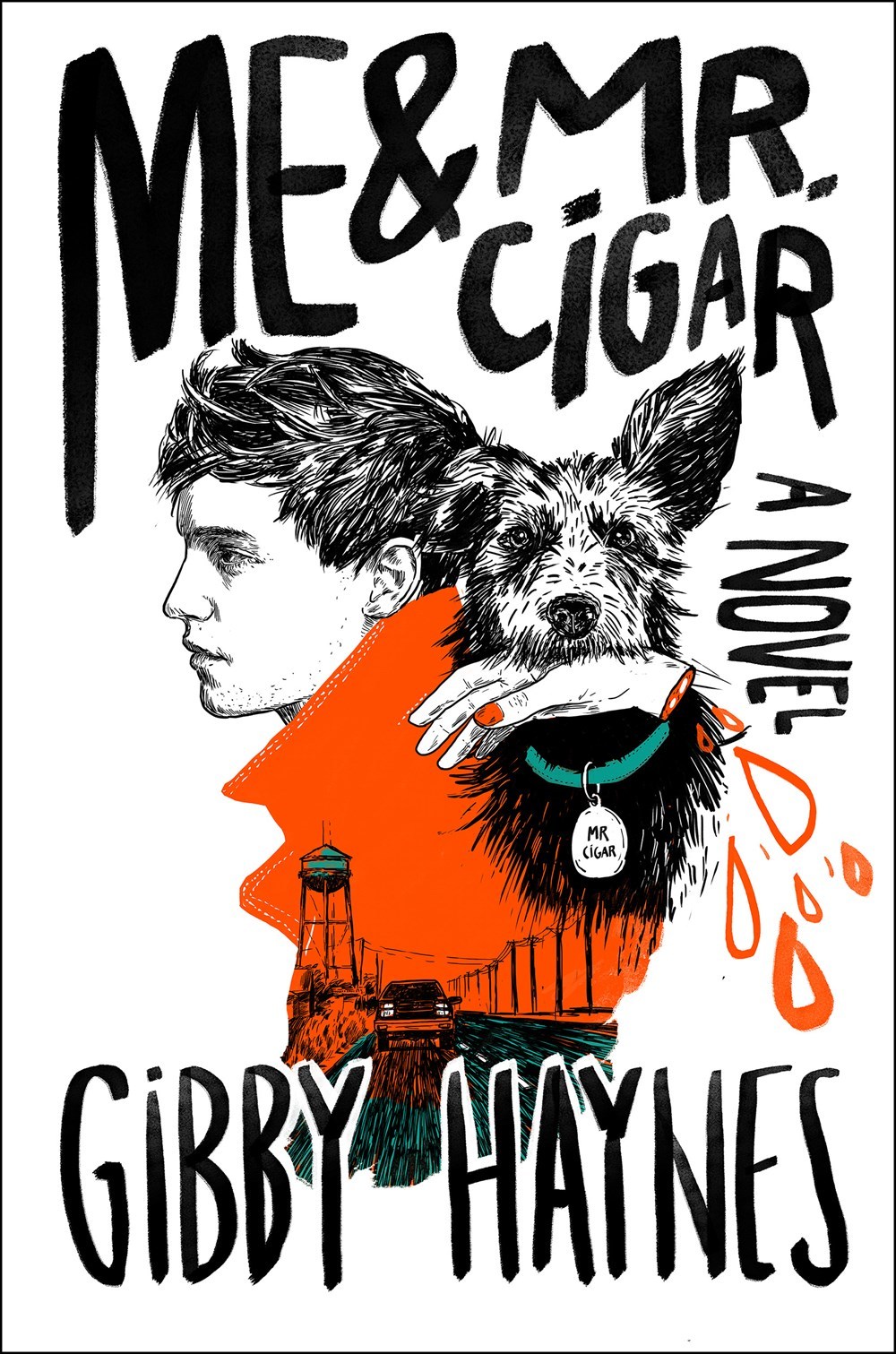 Me & Mr. Cigar book by Gibby Haynes