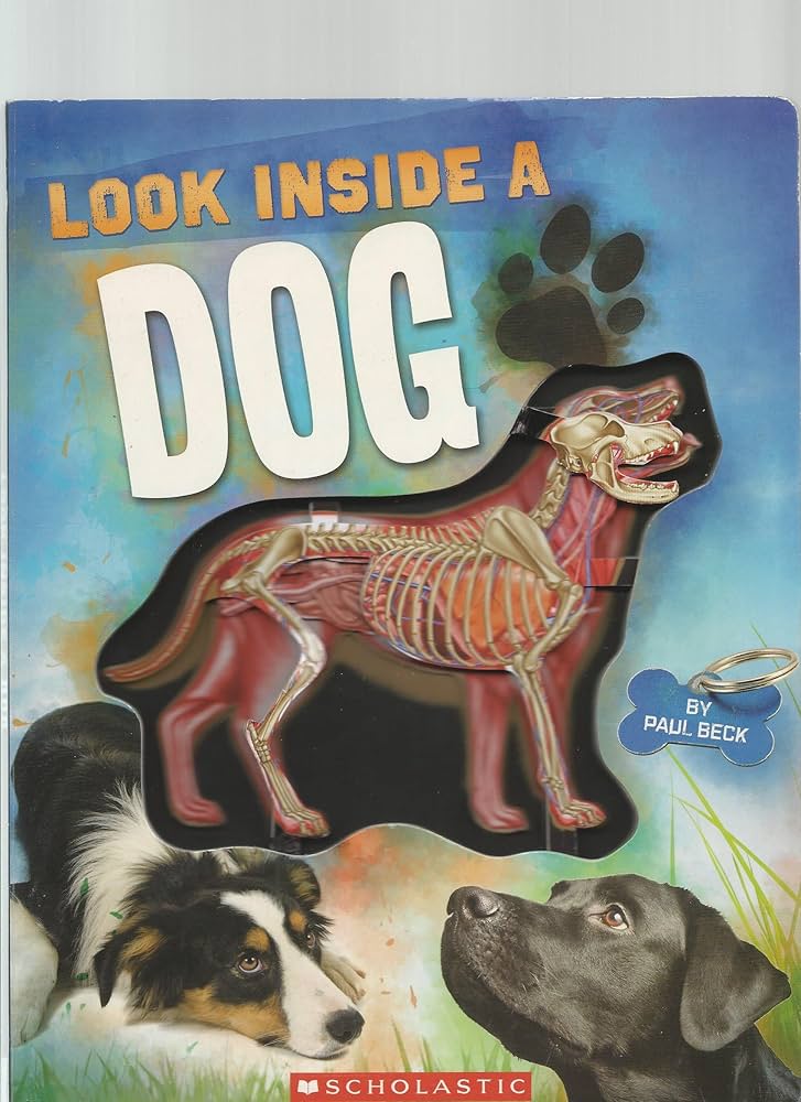 Look Inside a Dog