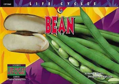 Bean (Life Cycles)