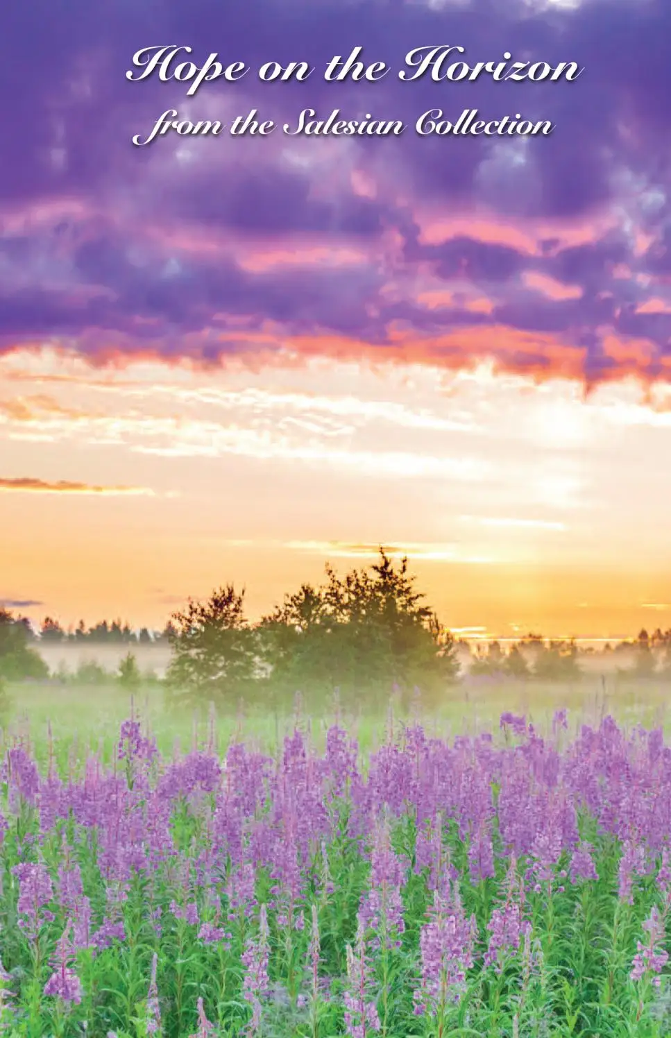 Hope on the Horizon from the Salesian collection