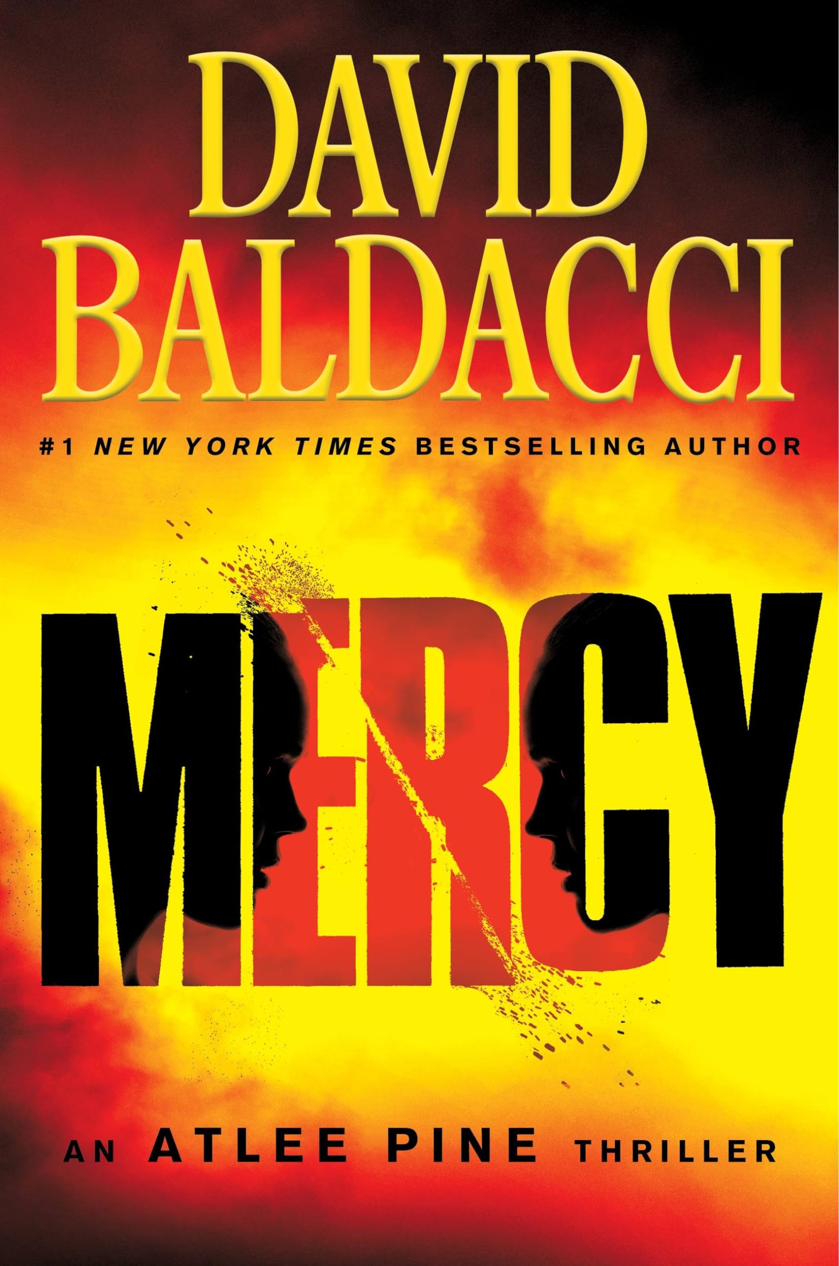 Mercy book by David Baldacci