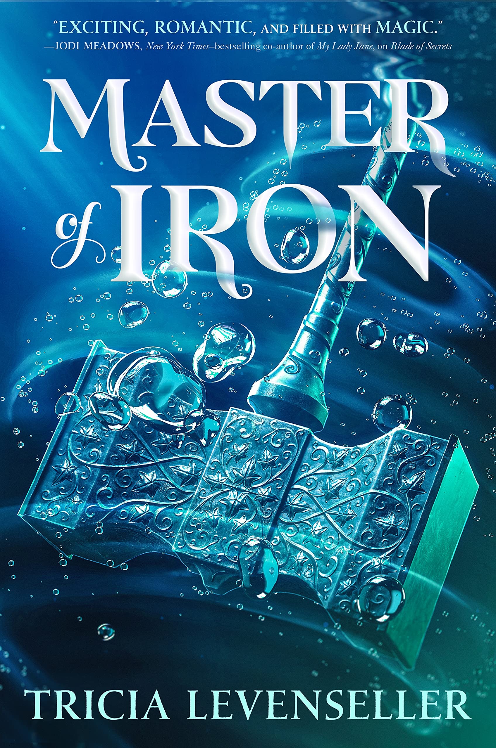 Master of Iron book by Tricia Levenseller